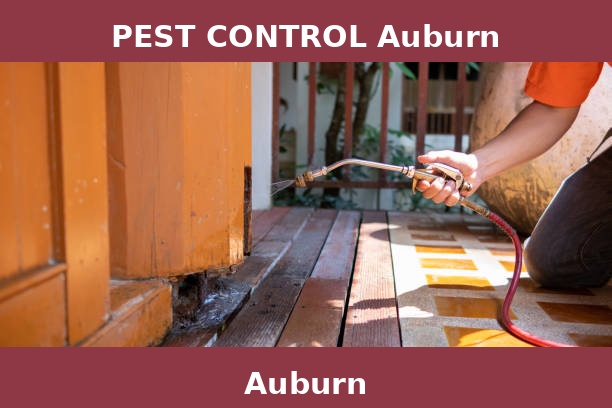 PEST CONTROL Auburn